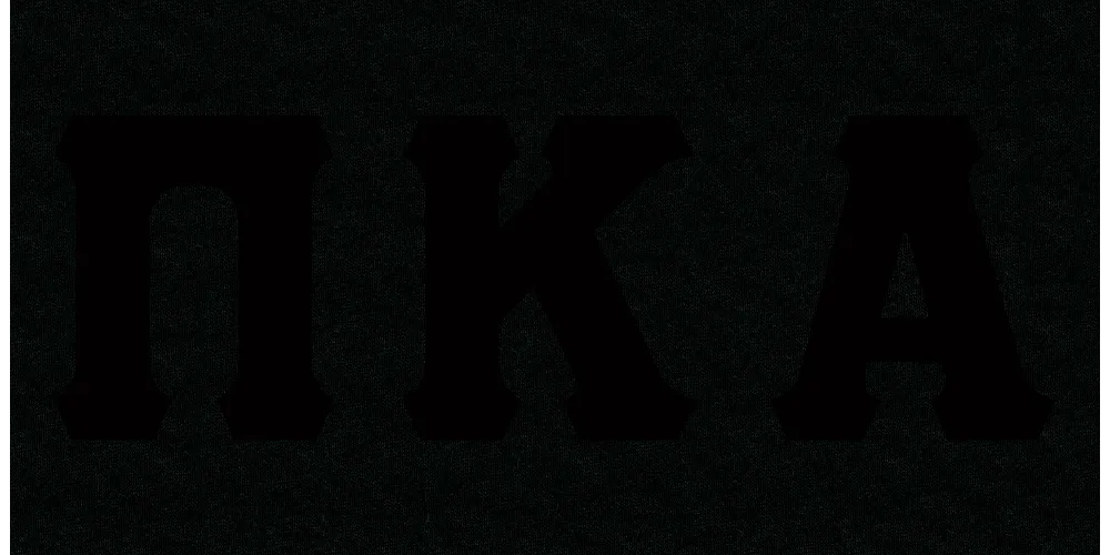 Pi Kappa Alpha - Customer's Product with price 50.00 ID pPVgKu2OykkOwODKlN3bY58S